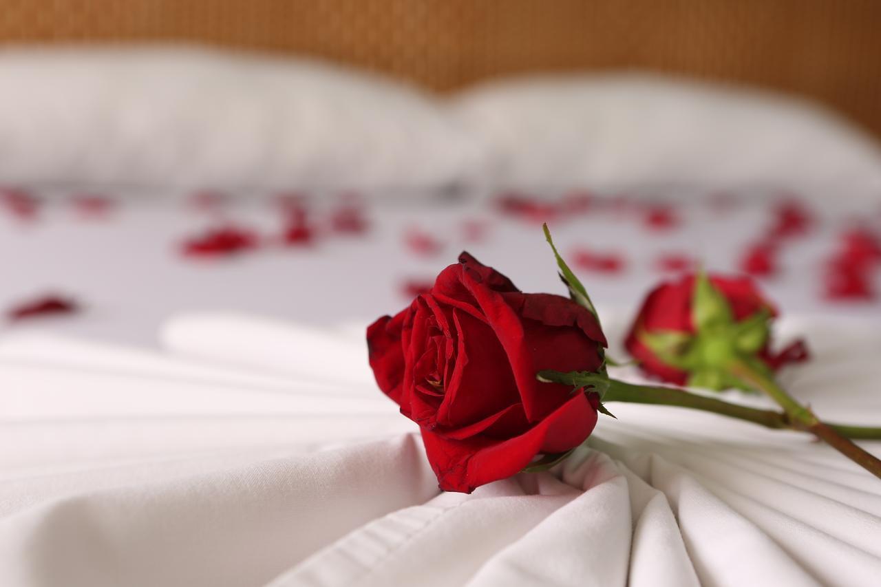 Hotel Anamichu Suites Melgar Εξωτερικό φωτογραφία